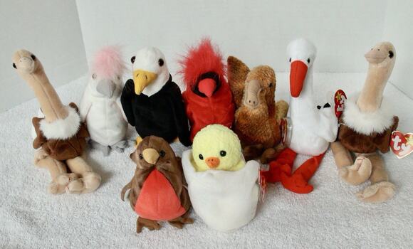 Ty Other - Ty Beanie Babies Bird Lot of 8 Stretch Early KuKu Eggbert Mac Stilts